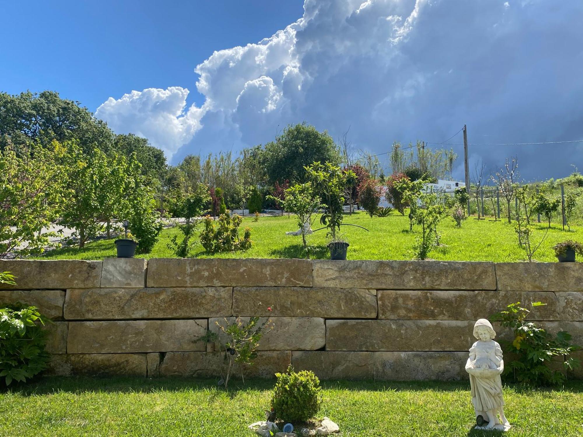 Alto Do Moinho Daire Alcobaça Dış mekan fotoğraf